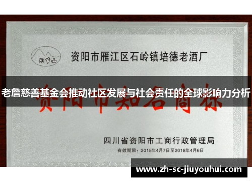 老詹慈善基金会推动社区发展与社会责任的全球影响力分析