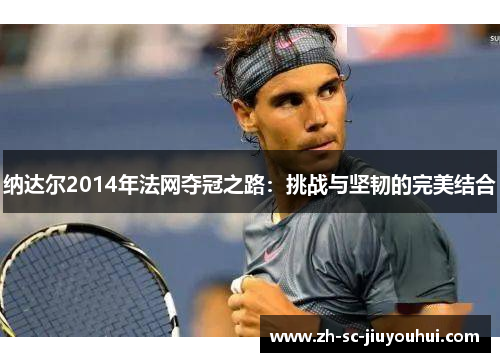 纳达尔2014年法网夺冠之路：挑战与坚韧的完美结合
